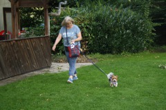 IMG-20230828-WA0043
