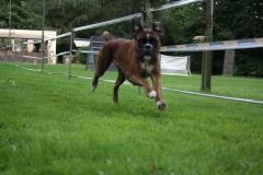 IMG-20230828-WA0061