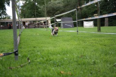 IMG-20230828-WA0065