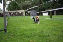 IMG-20230828-WA0066