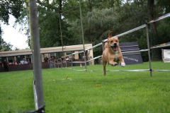 IMG-20230828-WA0074