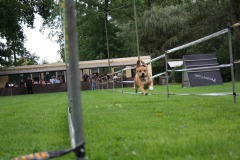 IMG-20230828-WA0077