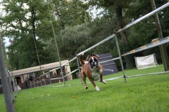 IMG-20230828-WA0078