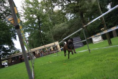 IMG-20230828-WA0081
