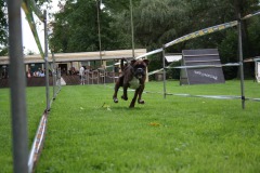IMG-20230828-WA0093
