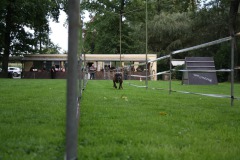IMG-20230828-WA0094