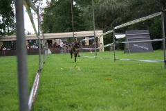 IMG-20230828-WA0096