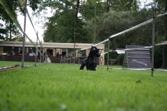 IMG-20230828-WA0101