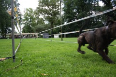 IMG-20230828-WA0104