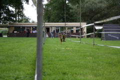 IMG-20230828-WA0106
