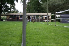 IMG-20230828-WA0111