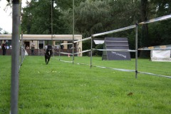 IMG-20230828-WA0125