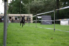IMG-20230828-WA0130