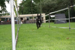 IMG-20230828-WA0131