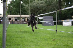 IMG-20230828-WA0136