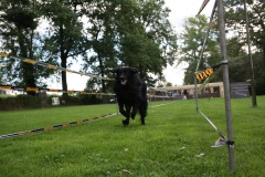 IMG-20230828-WA0149